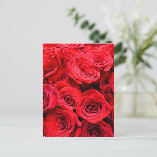 Rote Rosen Postkarte (Stehend Vorderseite)
