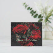 Rote Rosen Postkarte (Stehend Vorderseite)
