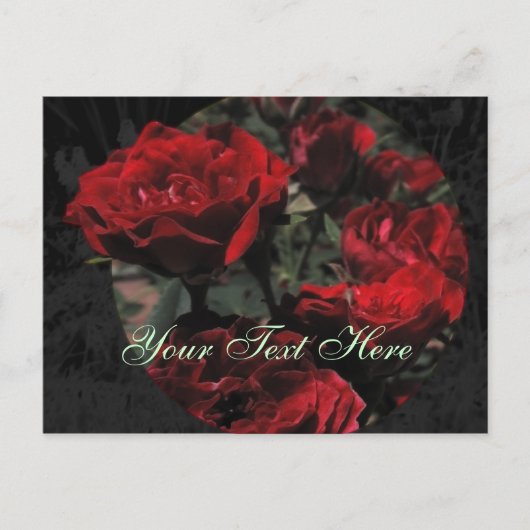 Rote Rosen Postkarte (Vorderseite)