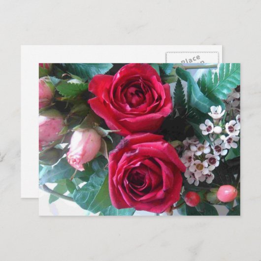rote Rosen Postkarte (Vorne/Hinten)