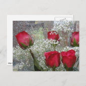 rote Rosen Postkarte (Vorne/Hinten)