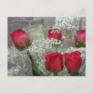 rote Rosen Postkarte