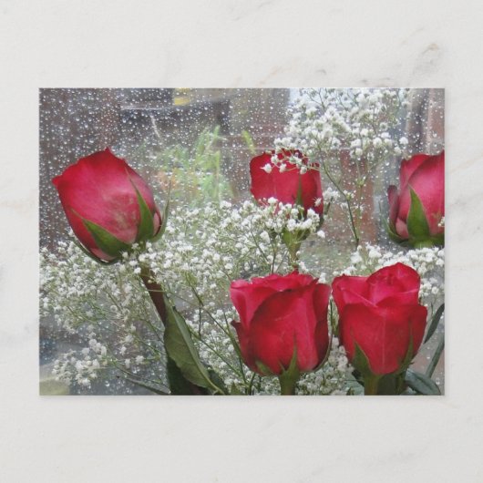 rote Rosen Postkarte (Vorderseite)