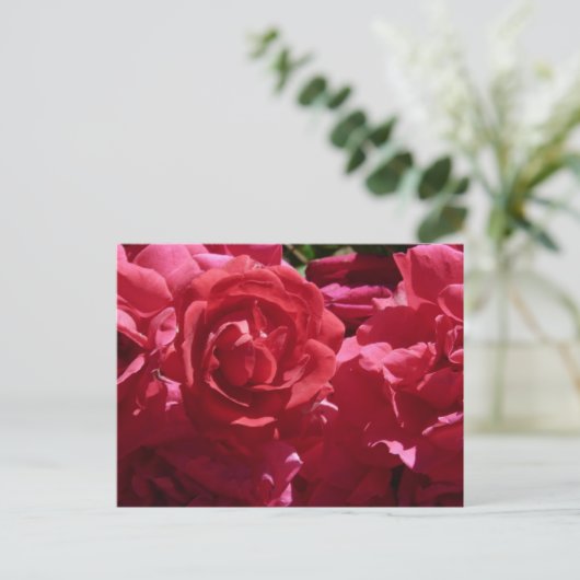 Rote Rosen Postkarte (Stehend Vorderseite)