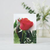 Rote Rosen Postkarte (Stehend Vorderseite)