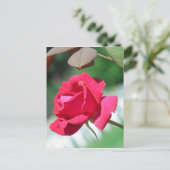 Rote Rosen Postkarte (Stehend Vorderseite)