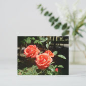 rote Rosen Postkarte (Stehend Vorderseite)