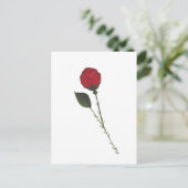 Rote Rosen Postkarte (Stehend Vorderseite)