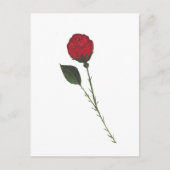 Rote Rosen Postkarte (Vorderseite)