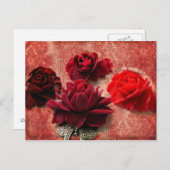 Rote Rosen Postkarte (Vorne/Hinten)
