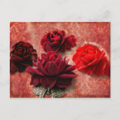 Rote Rosen Postkarte (Vorderseite)