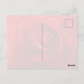 Rote Rosen Postkarte (Rückseite)