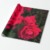 Rote Rosen Rosarium Geschenkpapier (Ungerollt)