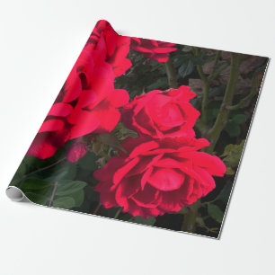 Rote Rosen Rosarium Geschenkpapier