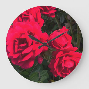 rote Rosen Rosarium Große Wanduhr