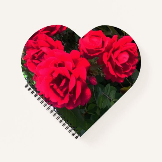 Rote Rosen Rosarium Herzform Notizblock (Vorderseite)