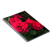Rote Rosen Rosarium Notebook Notizblock (Rechte Seite)