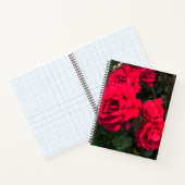 Rote Rosen Rosarium Notizblock (Innenseite)