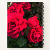 Rote Rosen Rosarium Notizblock (Rückseite)