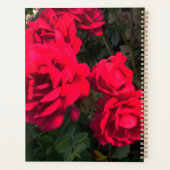 Rote Rosen Rosarium Planer (Rückseite)