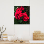 Rote Rosen Rosarium Poster (Küche)