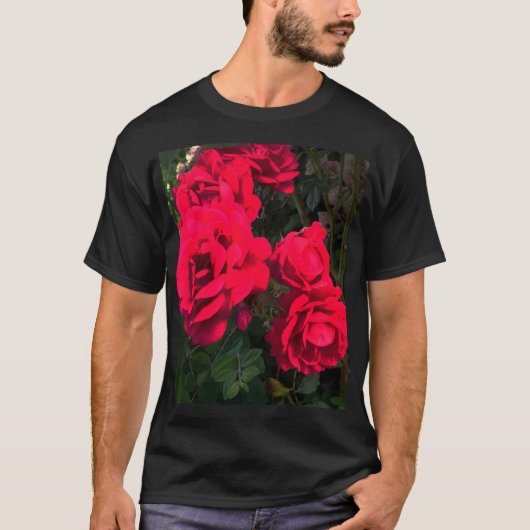 Rote Rosen Rosarium T-Shirt (Vorderseite)