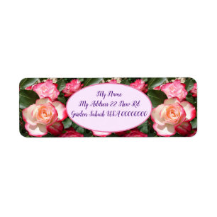 Rote Rosen Rose Weißer Blume Hütte Gartenanlage