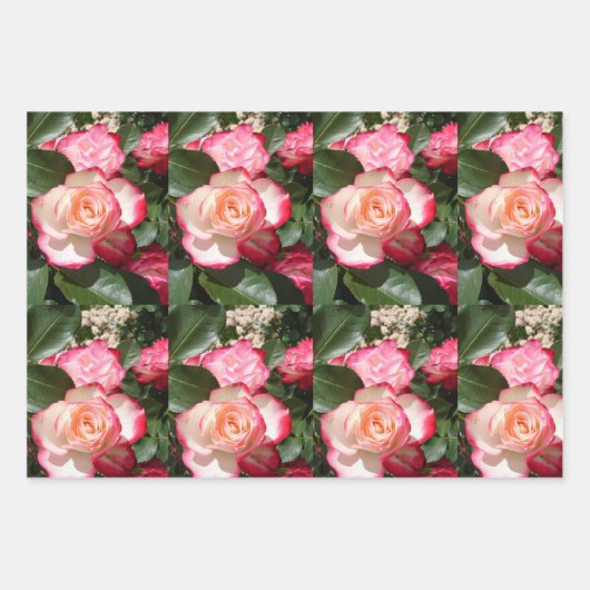 Rote Rosen Rose Weißer Blume Hütte Gartenanlage Geschenkpapier Set (Vorderseite 3)