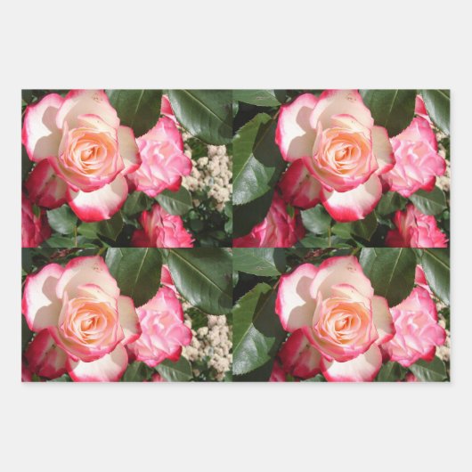 Rote Rosen Rose Weißer Blume Hütte Gartenanlage Geschenkpapier Set (Vorderseite 2)