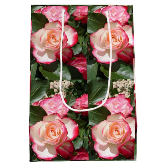 Rote Rosen Rose Weißer Blume Hütte Gartenanlage Mittlere Geschenktüte (Rückseite)