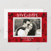 Rote Rosen Save the Date Foto Postkarte (Vorne/Hinten)