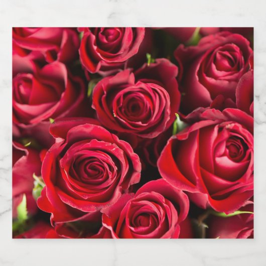 Rote Rosen Schaumweinetikett (Einzelnes Label)