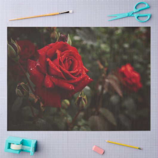 Rote Rosen Schöne Blüte 20x30 Decoupage Seidenpapier (Basteln)