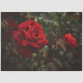 Rote Rosen Schöne Blüte 20x30 Decoupage Seidenpapier (Vorderseite)