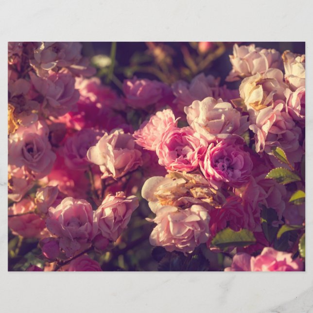 Rote Rosen-Schrein (Vorderseite)