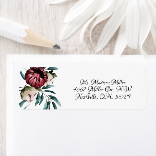 Rote Rosen Schwarzer Hintergrund Elegantes Skript (Insitu)