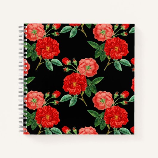 Rote Rosen, schwarzer Hintergrund, Notizblock (Vorderseite)