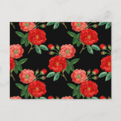 Rote Rosen, schwarzer Hintergrund, Postkarte (Vorderseite)