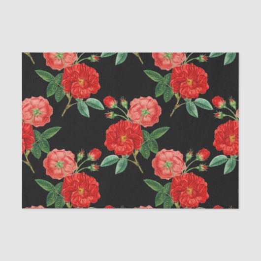 Rote Rosen, schwarzer Hintergrund, Seidenpapier (Vorderseite)