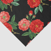 Rote Rosen, schwarzer Hintergrund, Seidenpapier (Ausschnitt)