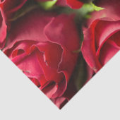 Rote Rosen Seidenpapier (Detail)