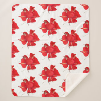 Rote Rosen, Sherpadecke
