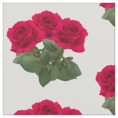 Rote Rosen Stoff (Nahaufnahme)