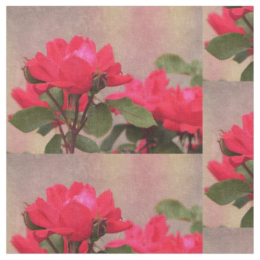 Rote Rosen Stoff (Nahaufnahme)