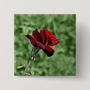 Rote Rosen-Taste Button