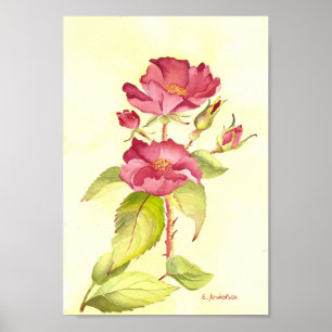 Rote Rosen und Knospen-Watecolor-Hintergrund Poster