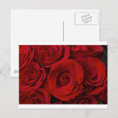 Rote Rosen und Wassertropfen Postkarte (Vorne/Hinten)