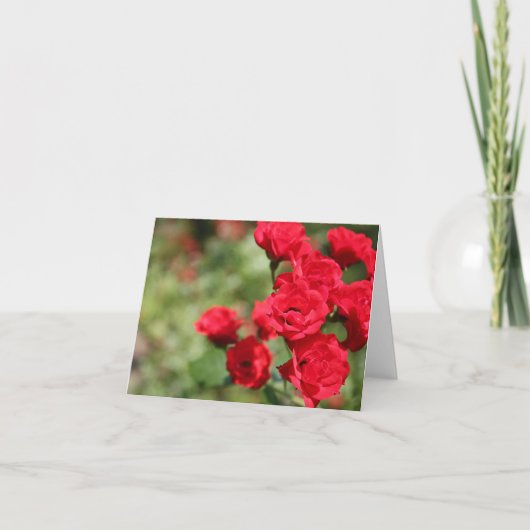 Rote Rosen verblassen in Fokus Notecard Karte (Vorderseite)