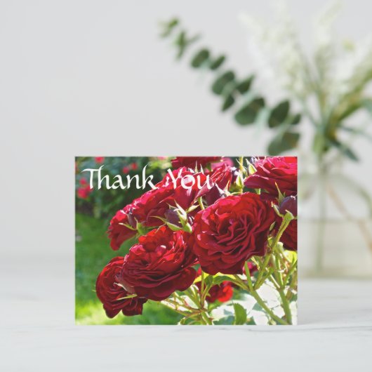 Rote Rosen Vielen Dank Postkarte (Stehend Vorderseite)