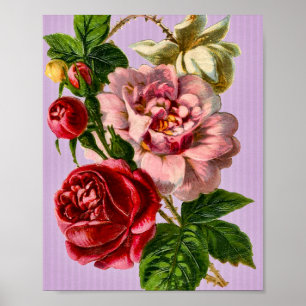 Rote Rosen Vintag Poster